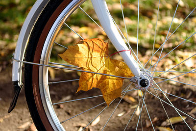 Close-up of dry bicycle on field