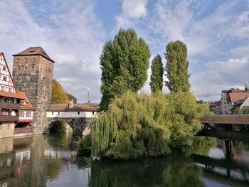 Trees by river against sky