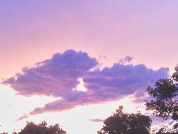 Low angle view of silhouette trees against sky