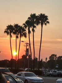 Silhouette of palm trees against sky during sunset