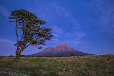 Scenic view of landscape against blue sky