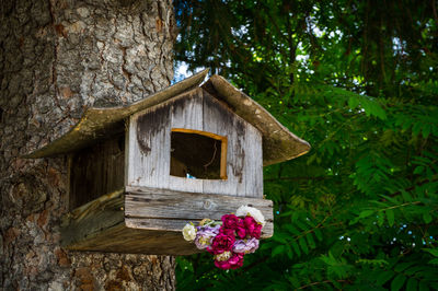 Low angle view of flowering tree against building