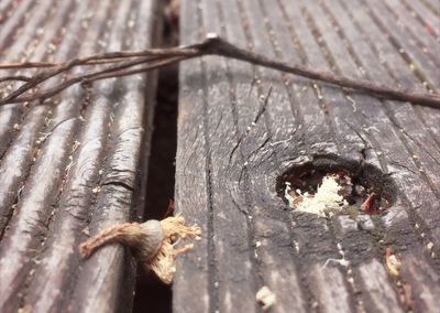 Close-up of wooden plank