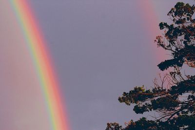 Low angle view of rainbow against clear sky