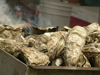 Close-up of oysters for sale in market