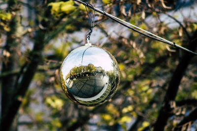 Close-up of crystal ball hanging on tree