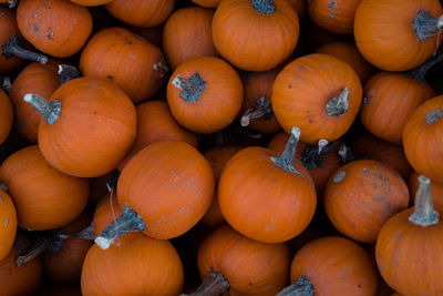 High angle view of pumpkins for sale at market stall