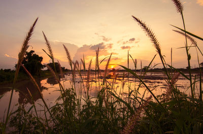 Scenic view of lake against sky during sunset