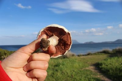 Cropped hand holding mushroom on field by lake against sky