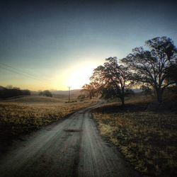 Road passing through field