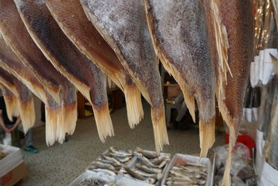 Close-up of fish for sale at market