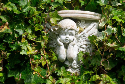 Close-up of statue against plants