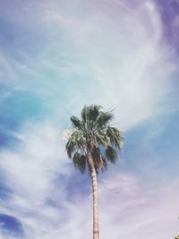 Low angle view of palm tree against sky
