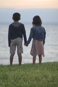 Rear view of friends holding hands while looking at sea