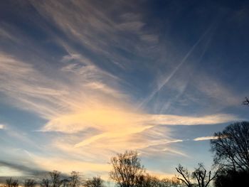 Low angle view of silhouette trees against sky at sunset