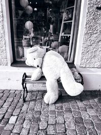 View of stuffed toy on street