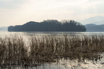 Scenic view of lake against sky