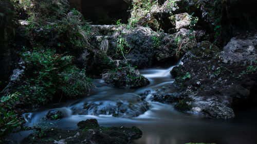 Stream flowing through rocks in forest