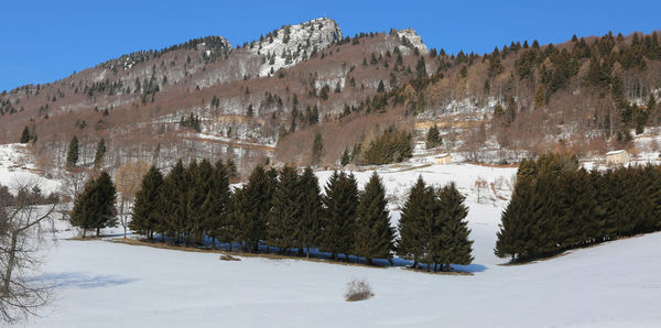 Scenic view of landscape against clear sky during winter