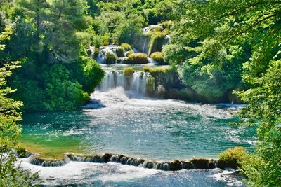 Scenic view of waterfall in forest