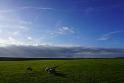 horizon