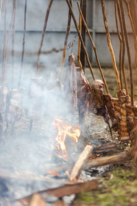 Close-up of fire on log