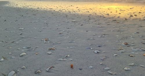 Close-up of wet sand on beach