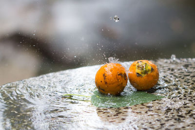 Close-up of orange fruits in water