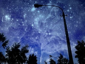 Low angle view of trees against sky at night