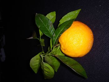 Close-up of fruits against black background