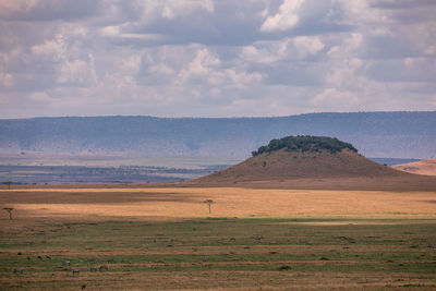 Scenic view of landscape against sky