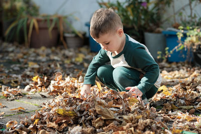 Young boy playing with fallen leaves in the backyard on a warm autumn afternoon