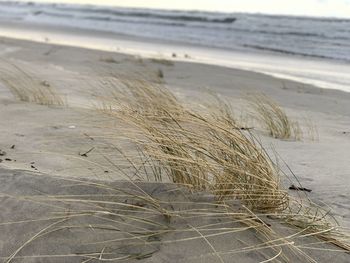 Close-up of sand on beach