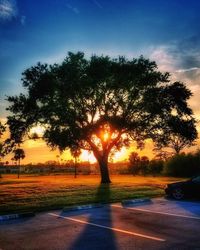 Silhouette trees by road against sky during sunset