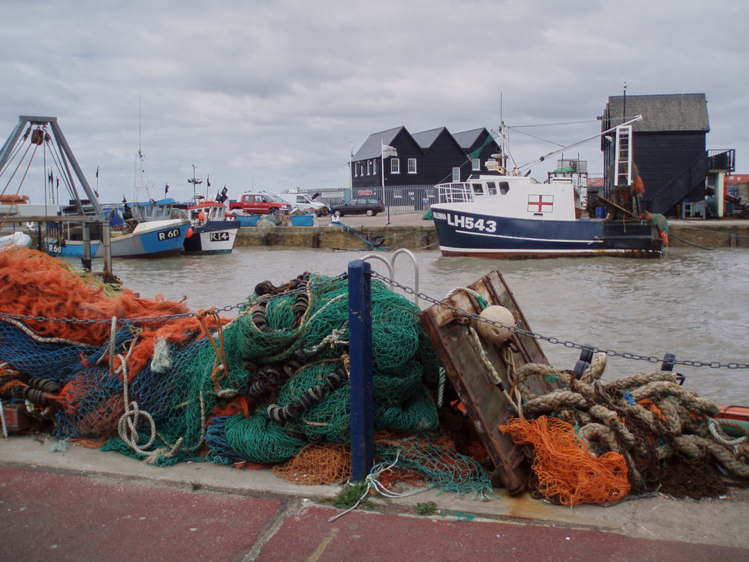 BOATS ON HARBOR