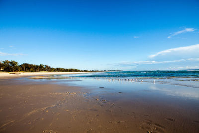 Scenic view of beach against blue sky