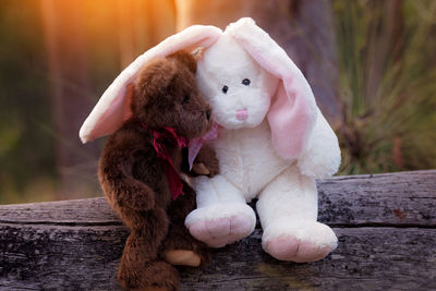 Close-up of easter bunny and teddy bear on wood
