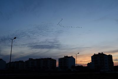 Silhouette birds flying over buildings in city