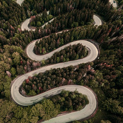 High angle view of road amidst trees