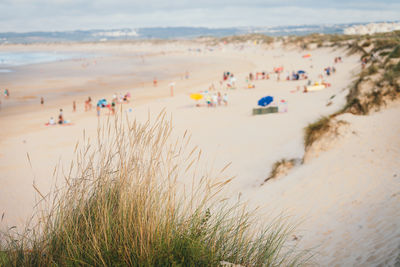 Panoramic view of beach