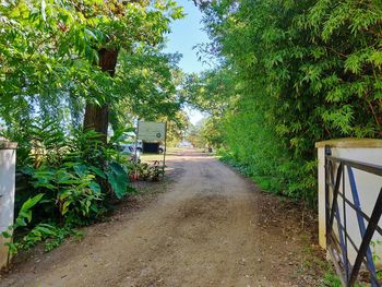 Empty road amidst trees and building