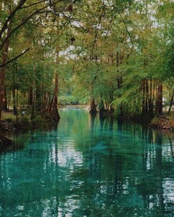 Scenic view of river with trees in background