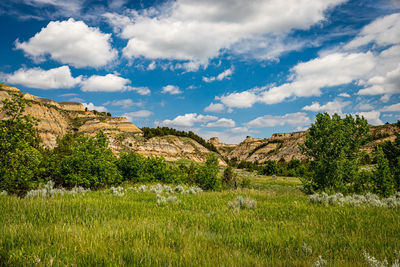 Scenic view of landscape against sky