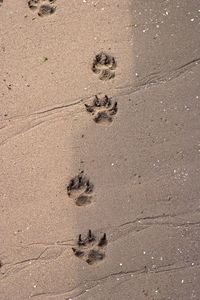 Full frame shot of sand