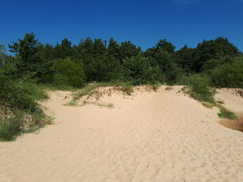 Scenic view of beach against clear sky