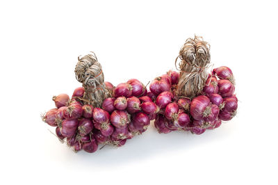 Close-up of berries against white background