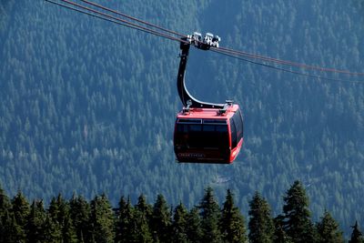 Overhead cable car in forest against sky