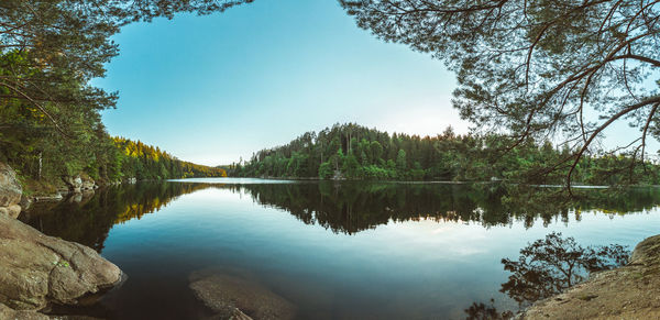 Scenic view of lake in forest against sky