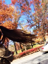 View of road along trees