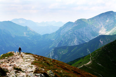 Rear view of man standing on mountain against sky